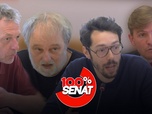 Replay 100% Sénat - Zones grises de l'information : audition de Blast, Basta ! StreetPress et Frontières