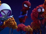Replay Spidey et ses amis extraordinaires - Une nuit comme en plein jour