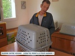 Replay Un jour, un doc - Guerre entre voisins : jusqu'où iront-ils pour gagner ? (2/2)