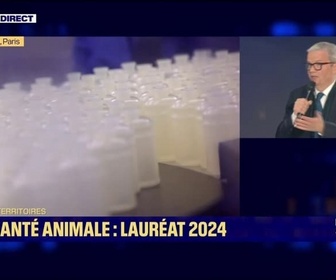 Replay BFM Awards - Marc Prikazsky, président-directeur général de Ceva Santé Animale, remporte le BFM Award des Territoires