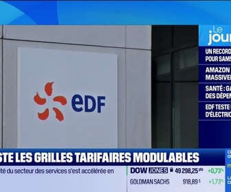 Replay Good Morning Business - EDF teste les grilles tarifaires modulables