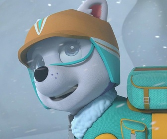 Replay Paw Patrol, la Pat'Patrouille - La leçon de snowboard