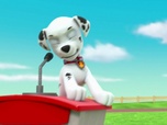 Replay Paw Patrol, la Pat'Patrouille - Le collier porte-bonheur
