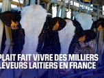 Replay La France a tout pour réussir - Comment maintenir l'élevage laitier en France ?