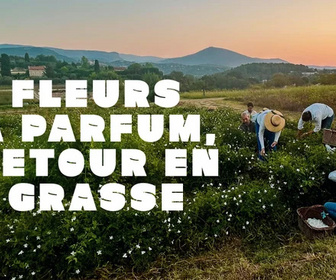Replay La ligne bleue - Fleurs à parfum, retour en Grasse