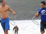 Replay Hawaii 5-0 - S1 E11 - Palekaiko