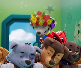 Replay Paw Patrol, la Pat'Patrouille - Le pouvoir des fleurs