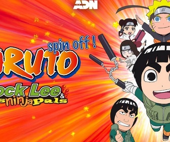 Replay Naruto SD-Rock Lee : les péripéties d'un ninja en herbe - Épisode 45