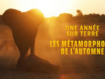 Replay Une année sur terre - 19/05/2026