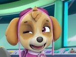 Replay Paw Patrol, la Pat'Patrouille - La pâte à pizza