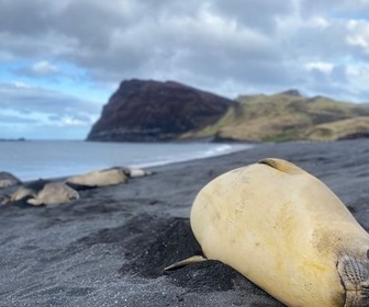 Replay Les dents de la mer - Le peuple des tempêtes