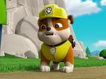 Replay Paw Patrol, la Pat'Patrouille - Les cornichons explosifs