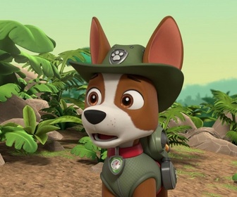 Replay Paw Patrol, la Pat'Patrouille - La peluche du Géant-panzé