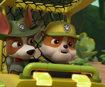 Replay Paw Patrol, la Pat'Patrouille - Un éléphanteau joueur