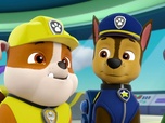 Replay Paw Patrol, la Pat'Patrouille - Le cochon surfeur