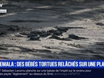 Replay BFM Première prématinale - Le break du 3 octobre