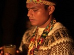Replay Colombie, la culture du yagé - Médecines d'ailleurs