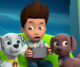 Replay Paw Patrol, la Pat'Patrouille - Un abri pour la nuit