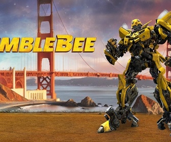 Replay Bumblebee