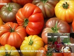 Replay Les longs formats des Locales - Le Salon des Agricultures de Provence bat son plein au domaine du Merle