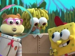 Replay Kamp Koral : Bob la petite éponge - Une nouvelle recrue