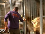 Replay Une saison au zoo - S13 E25