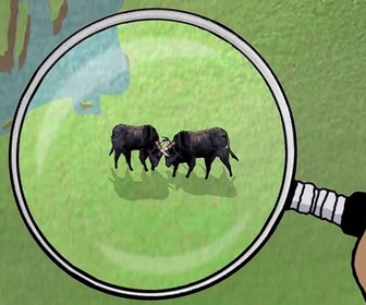 Replay Karambolage - L'aurochs de Heck