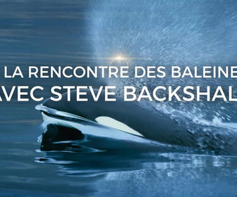 Replay A la rencontre des baleines avec Steve Backshall - 31/07/2026