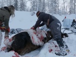 Replay Seuls face à l'Alaska - S13E1 - Nouvelles terres