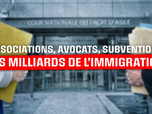 Replay Associations, avocats, subventions : les milliards de l'immigration - les milliards de l'immigration - Associations, avocats, subventions