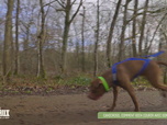 Replay L'hebdo des animaux - S1E13 - Episode 13