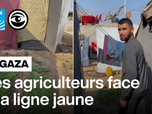 Replay Les Observateurs - Planter pour préserver notre dignité : à Gaza, des agriculteurs toujours coupés de leurs terres