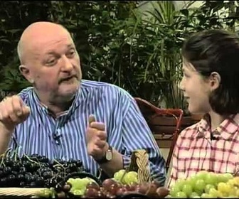 Replay Comment c'est fait ? - Le raisin - Jean-Pierre Coffe