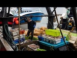 Replay Face à de multiples défis, les professionnels de la pêche se réunissent à Cherbourg