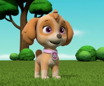 Replay Paw Patrol, la Pat'Patrouille - Katie rejoint la Pat'Patrouille