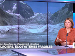 Replay Élément Terre, la quotidienne - Les glaciers, des écosystèmes parmi les plus fragiles de la planète