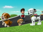 Replay Paw Patrol, la Pat'Patrouille - La surprise de Ryder