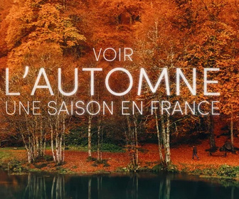 Replay Voir l'automne, une saison en France
