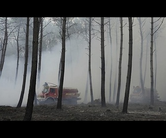 Replay Incendies dans les Landes : 1 100 hectares brulés et plus de 500 personnes évacuées
