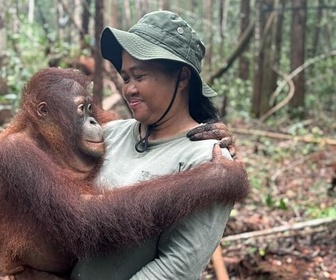 Replay Bornéo, l'école des orangs-outans - 360° Reportage
