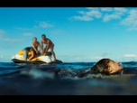 Replay Shark bay
