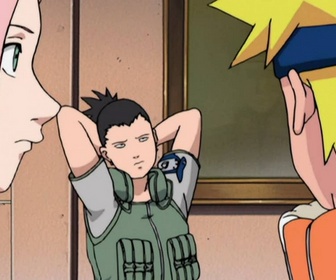 Replay Naruto - S8 E19 - Rassemblement des onze de Konoha !