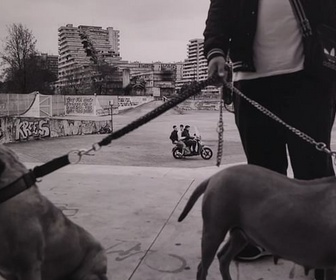 Replay ARTE Journal - Photojournalisme: Naples côté pile