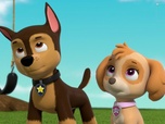Replay Paw Patrol, la Pat'Patrouille - Galinetta pilote un avion