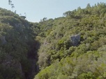 Replay Le parc naturel de Serras de Aire et Candeeiros - Les parcs naturels portugais
