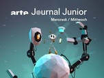 Replay ARTE Journal Junior - 21/02/2024