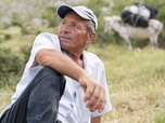 Replay Albanie, une vie de berger - 360° Reportage