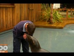 Replay Une saison au zoo - S13 E55