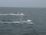 Replay ARTE Info Expresso - Des drones désormais maritimes