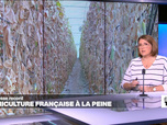 Replay Élément Terre, la quotidienne - Sécheresse record en France: les conséquences sur l'Agriculture